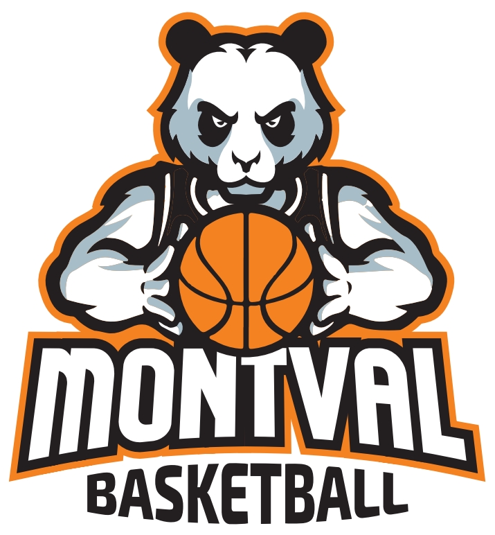 Château du Loir recherche apprenti(e) BPJEPS basketball saison 2026/2027