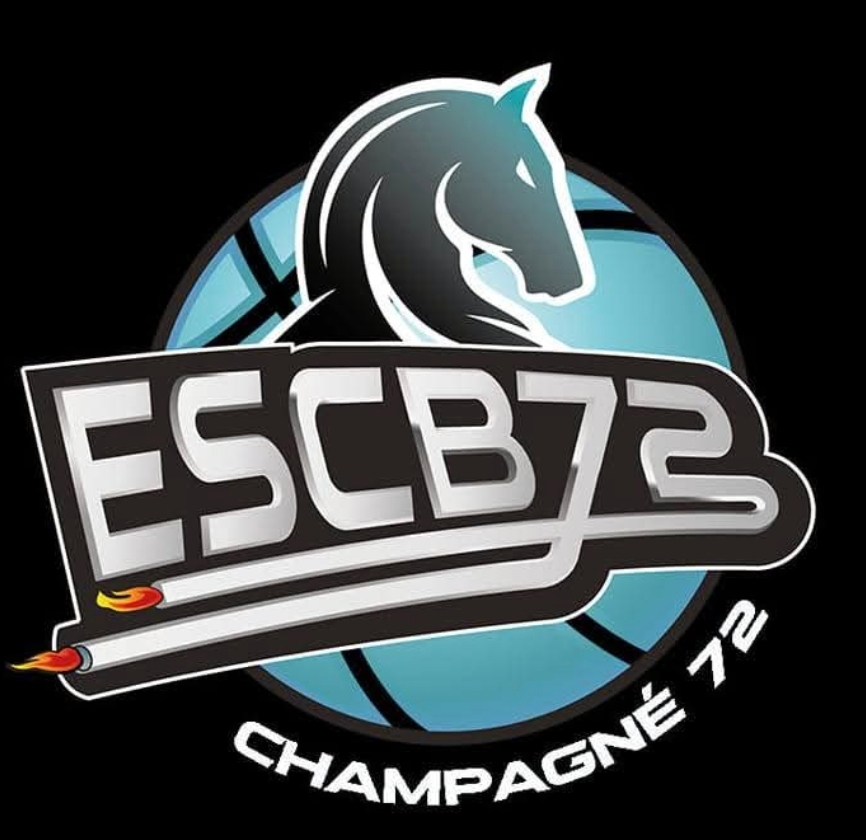Champagné Recherche coachs