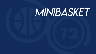 MiniBasket